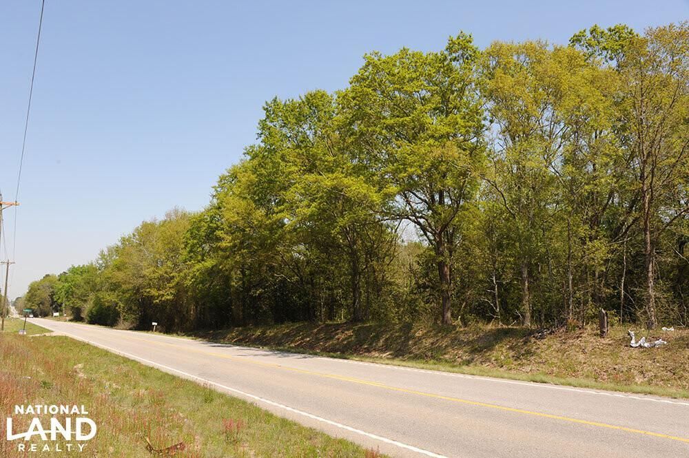 Marlboro County, SC Recreational Property, Timberland