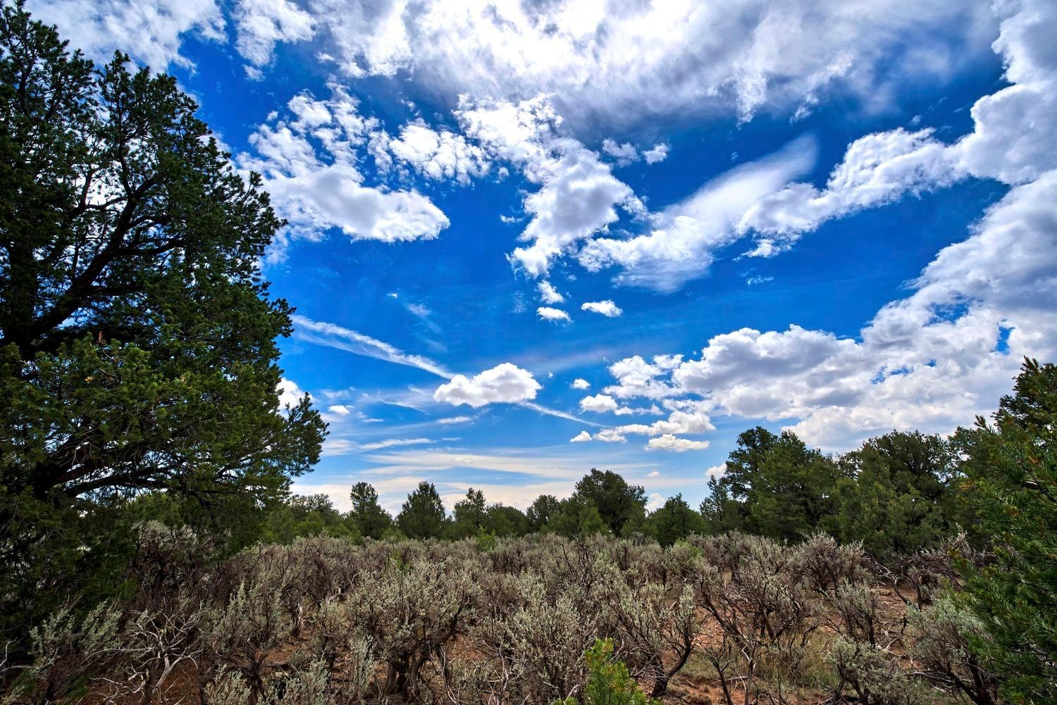 Tres Piedras, Taos County, NM Recreational Property, Undeveloped Land