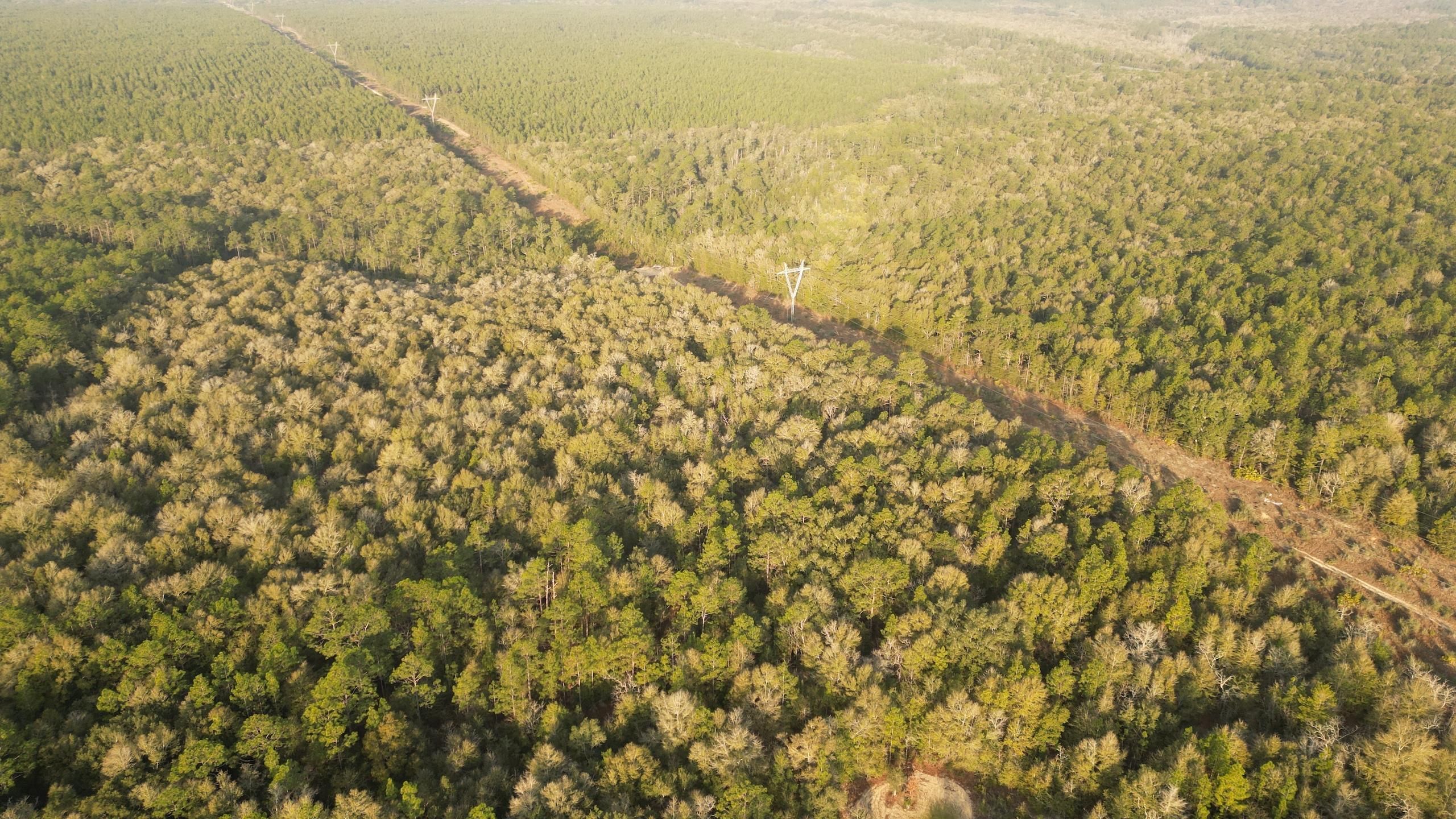 Holt, Okaloosa County, FL Recreational Property, Timberland Property