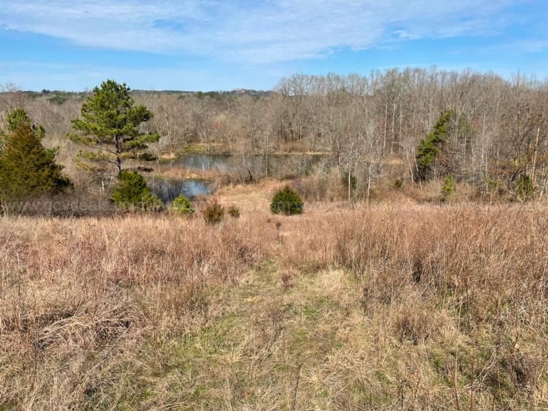 1154 Marlin Jordan Road, Carbon Hill, AL 35549 LandWatch