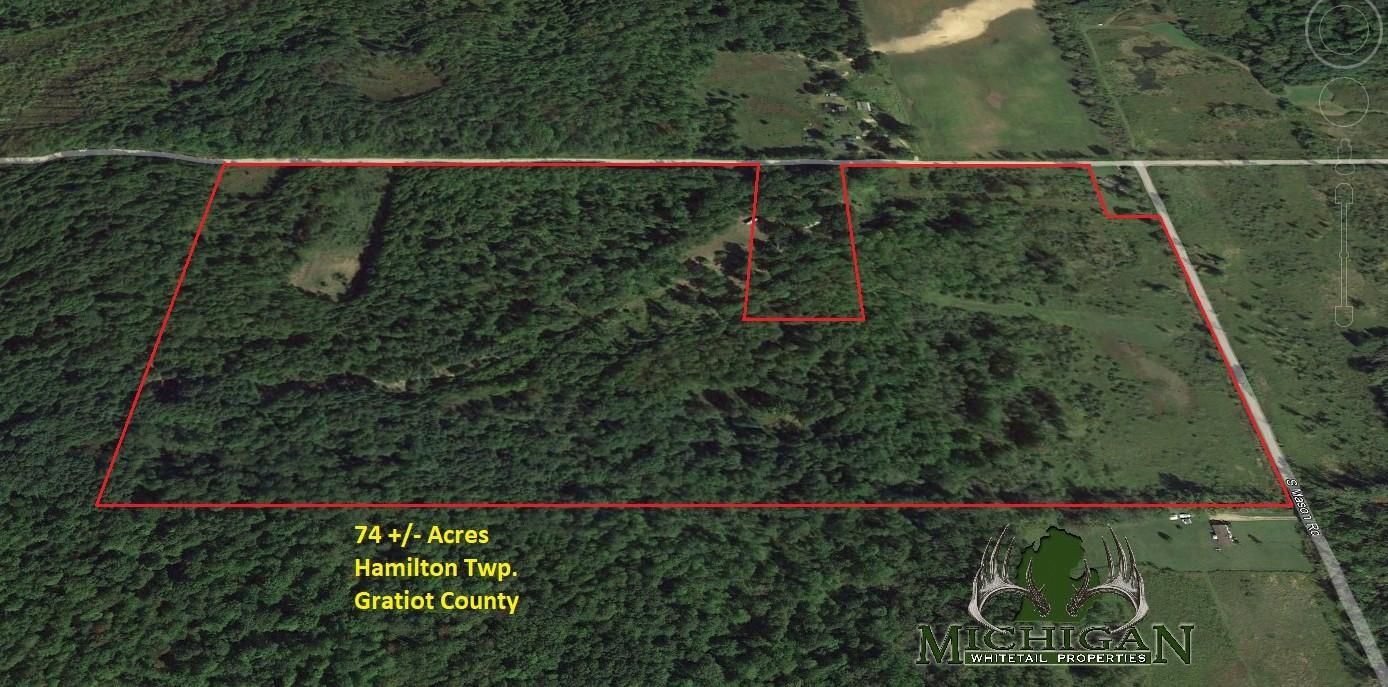 Ashley, Gratiot County, MI Recreational Property, Undeveloped Land
