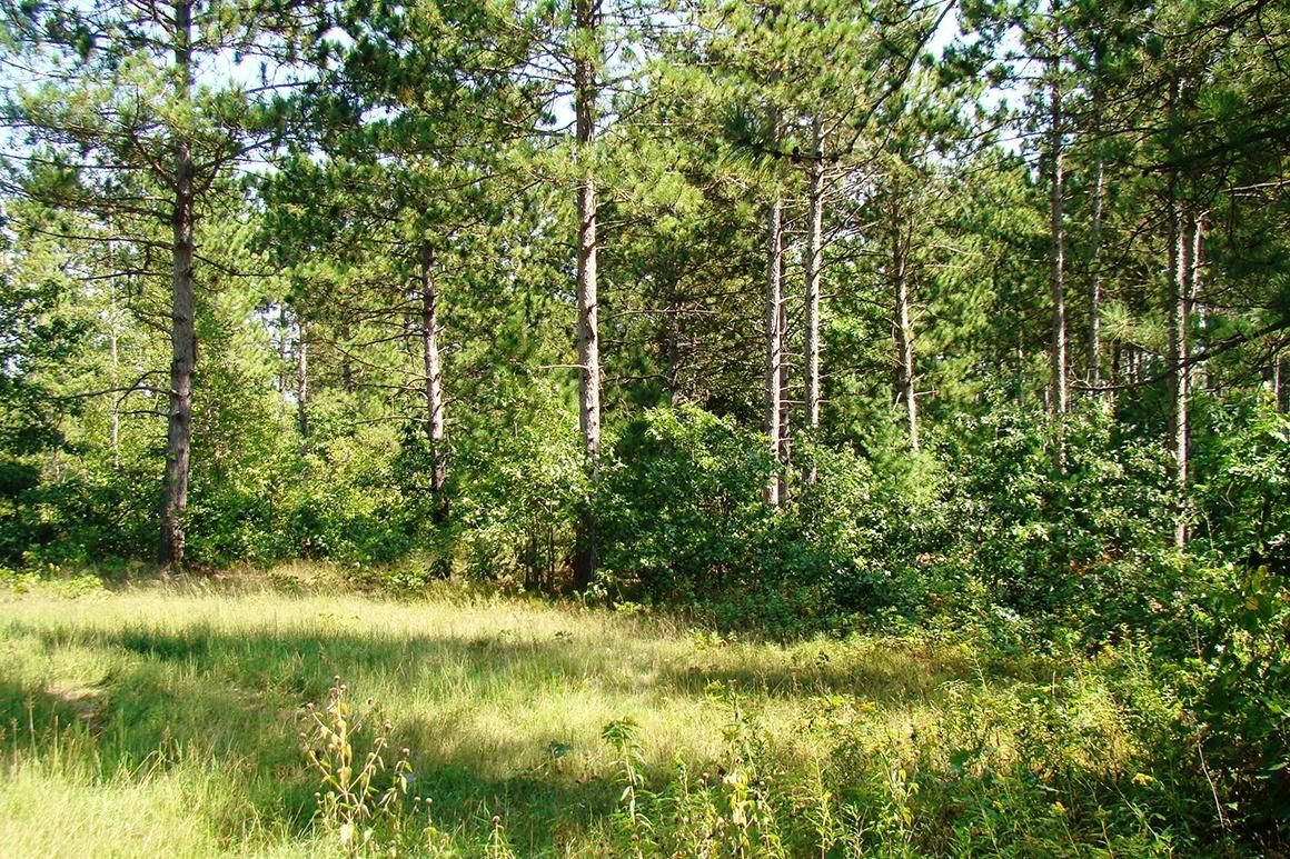 Rhinelander, Oneida County, WI Recreational Property, Timberland