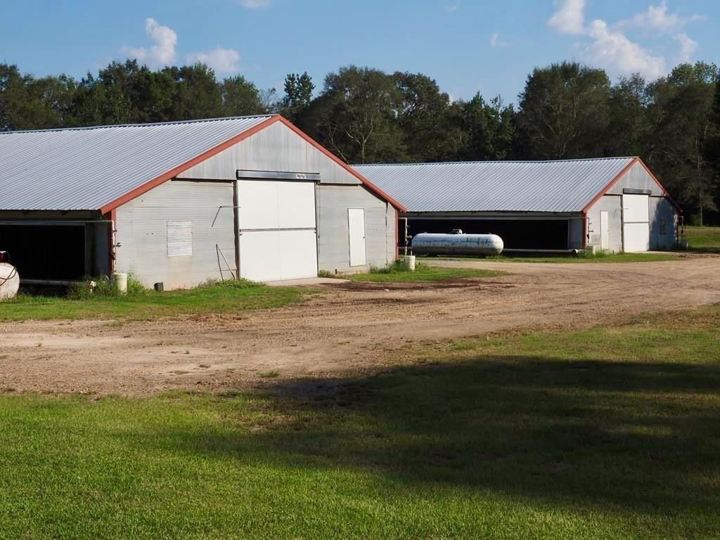 262 River Road, Ellisville, MS 39437 LandWatch