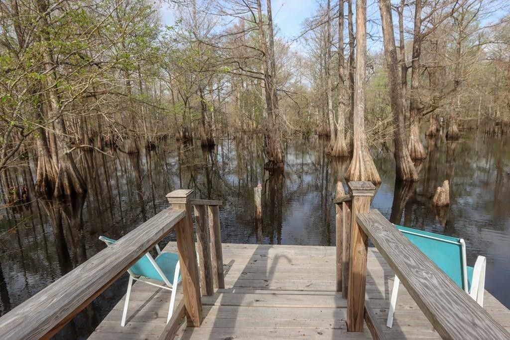 Wewahitchka, Gulf County, FL Lakefront Property, Waterfront Property