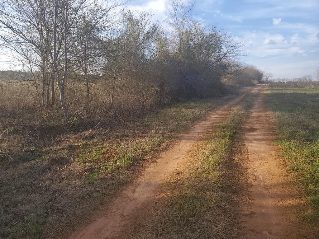 Wedgefield, Sumter County, SC Farms and Ranches for sale Property ID