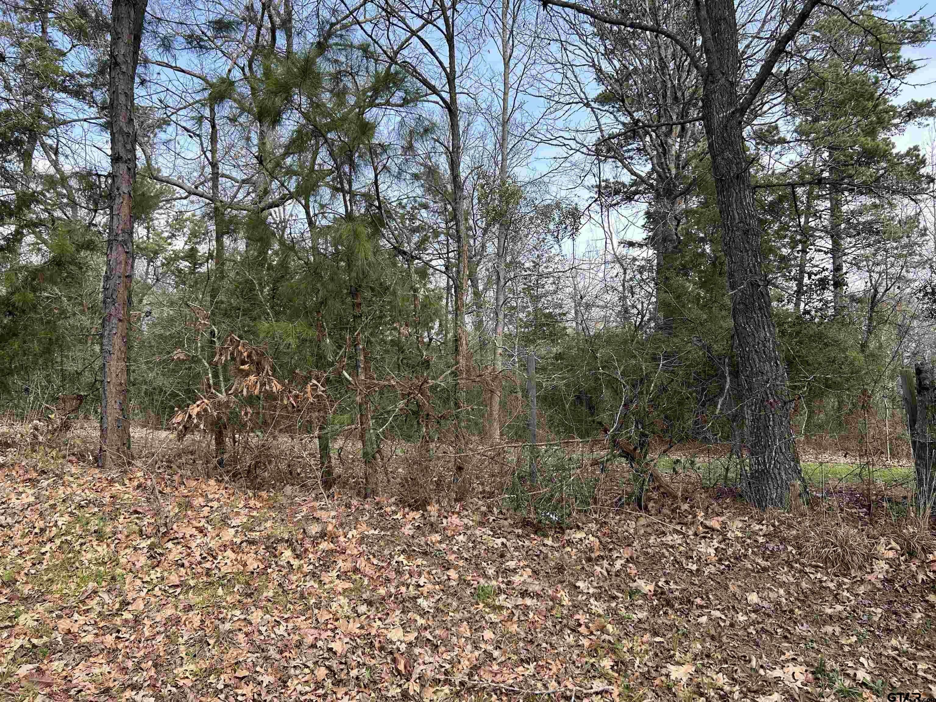 Mount Enterprise, Rusk County, TX Undeveloped Land for sale Property ID