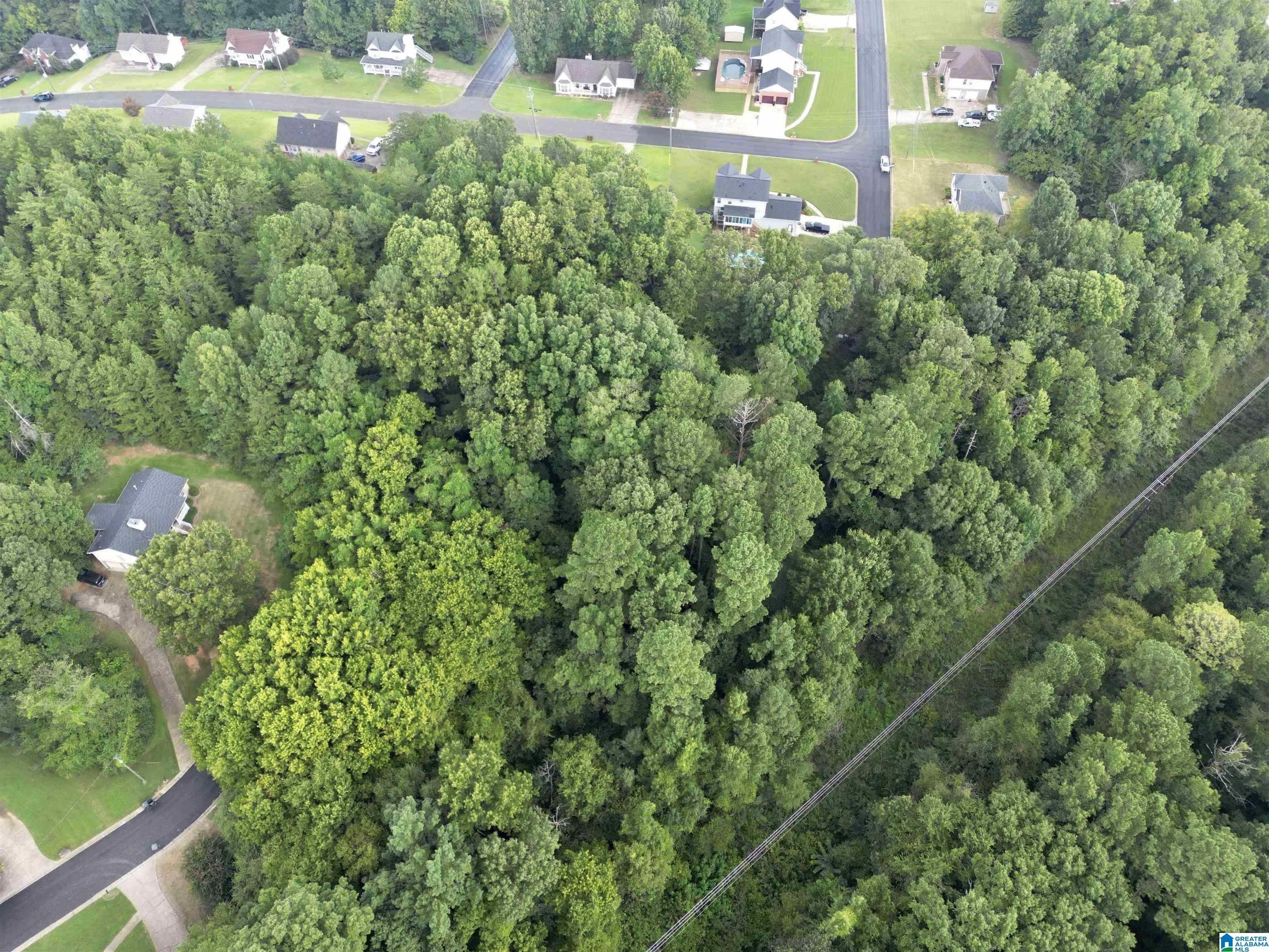 Birmingham, Jefferson County, AL Undeveloped Land for sale Property ID 415874012 LandWatch