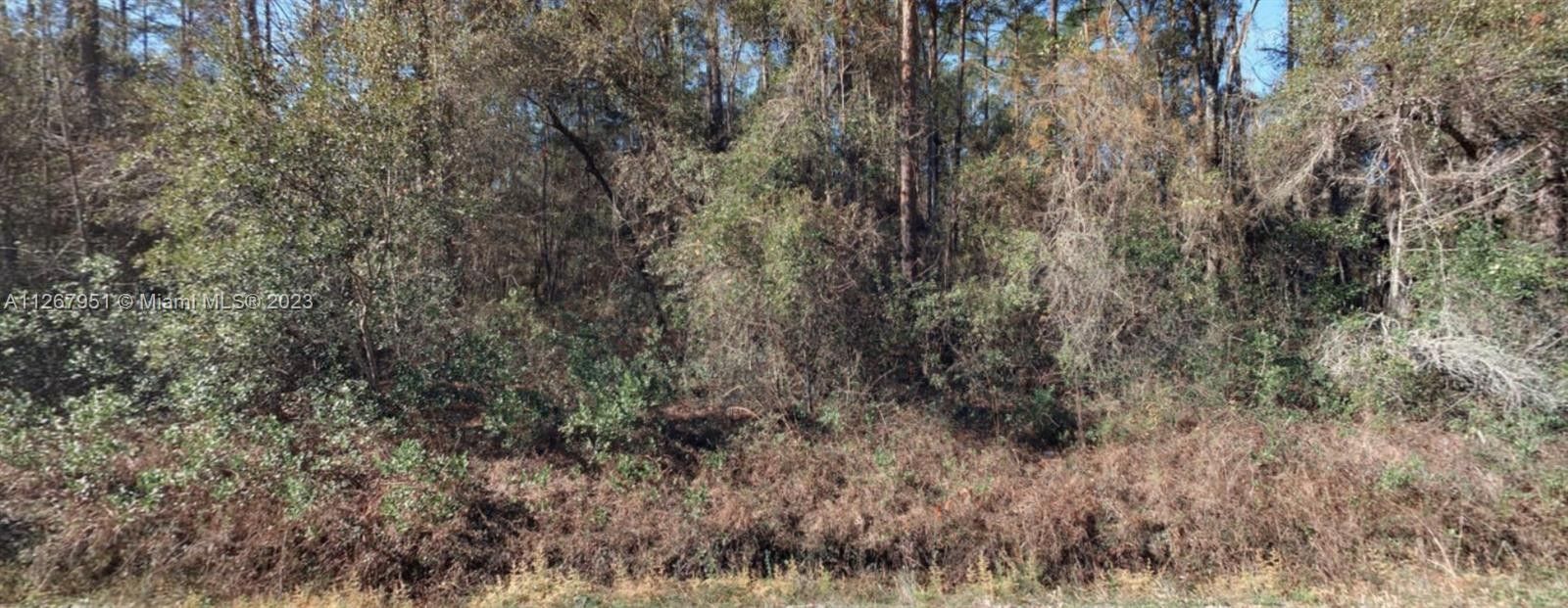 St Augustine, Saint Johns County, FL Farms and Ranches, Homesites for