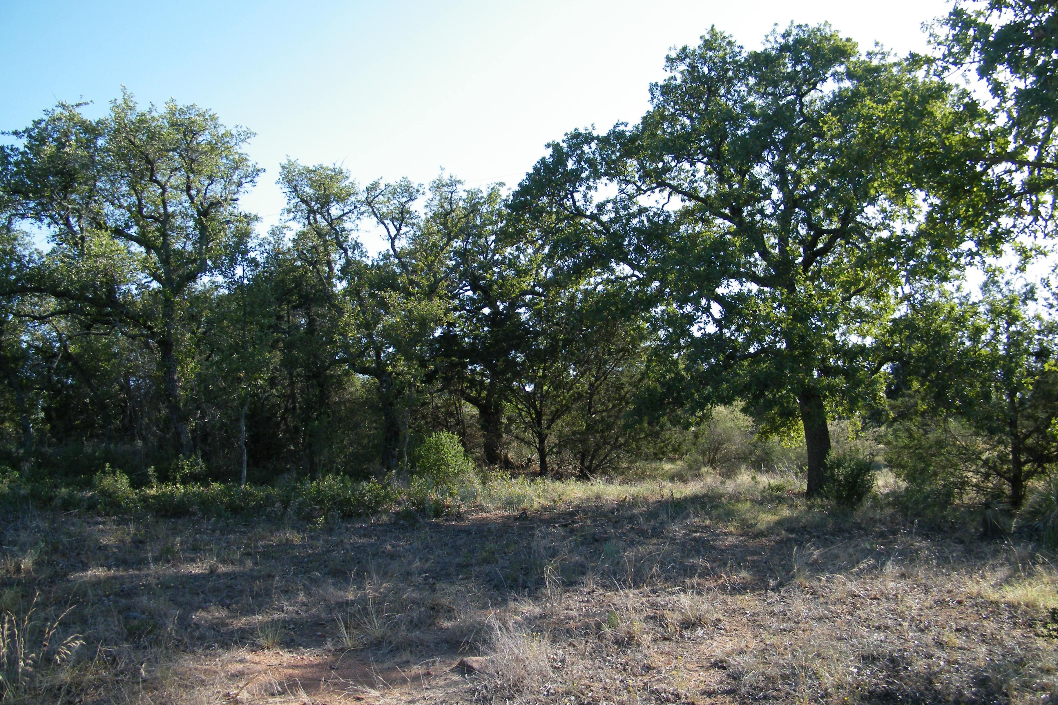 County, TX for sale Property ID 414376003 LandWatch