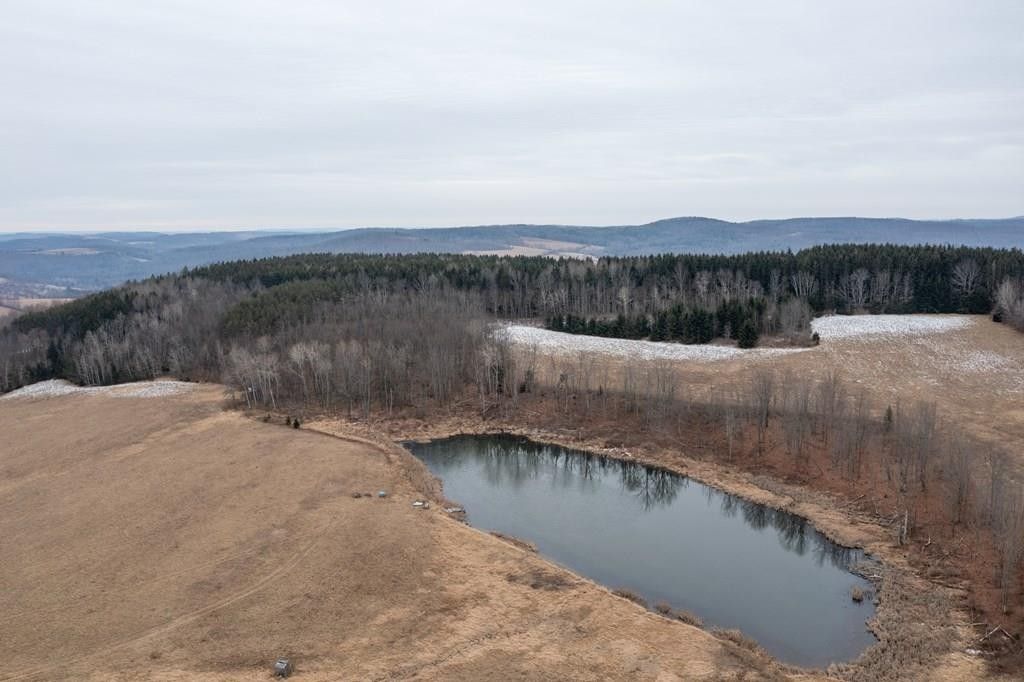 Addison, Steuben County, NY Undeveloped Land for sale Property ID 415877492 LandWatch