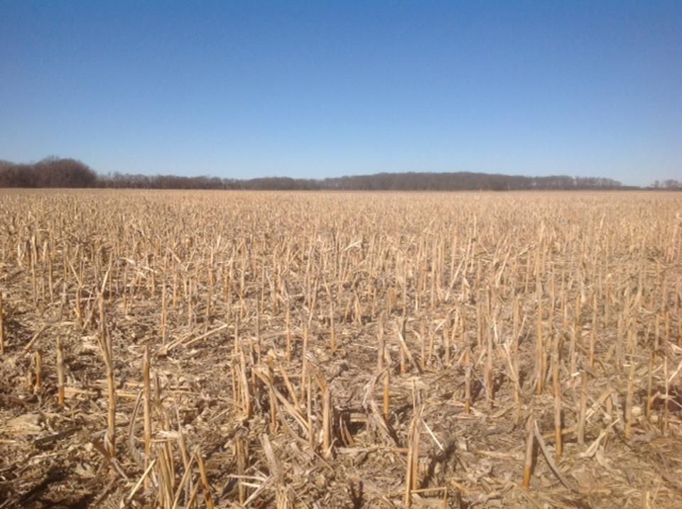 Syracuse, Otoe County, NE Farms and Ranches, Recreational Property for