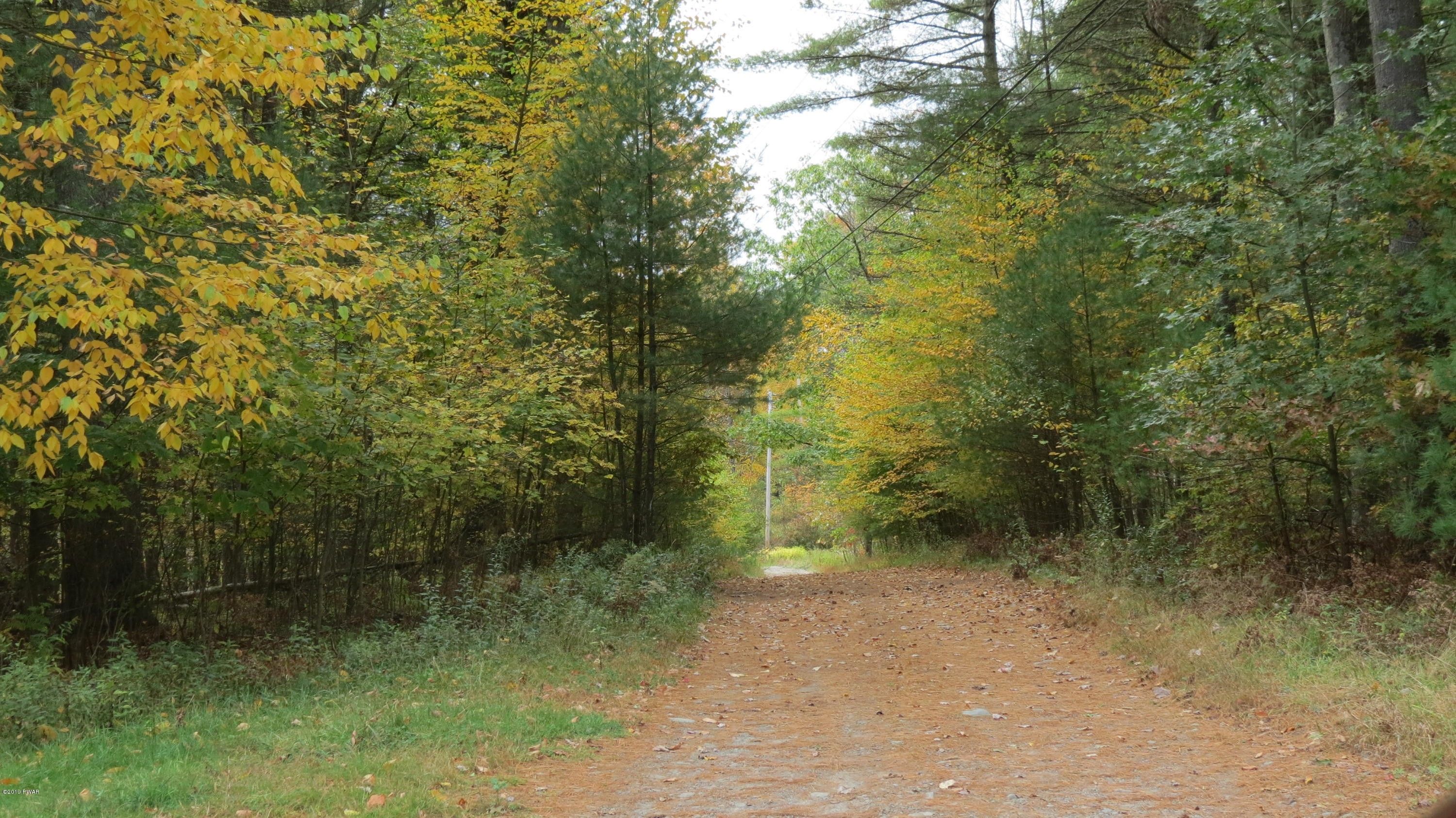 Narrowsburg, Sullivan County, NY Undeveloped Land for sale Property ID