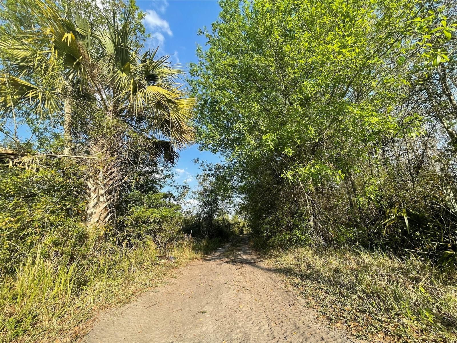 TOPEKA AVENUE, Saint Cloud, FL 34773 MLS G5065702 LandWatch