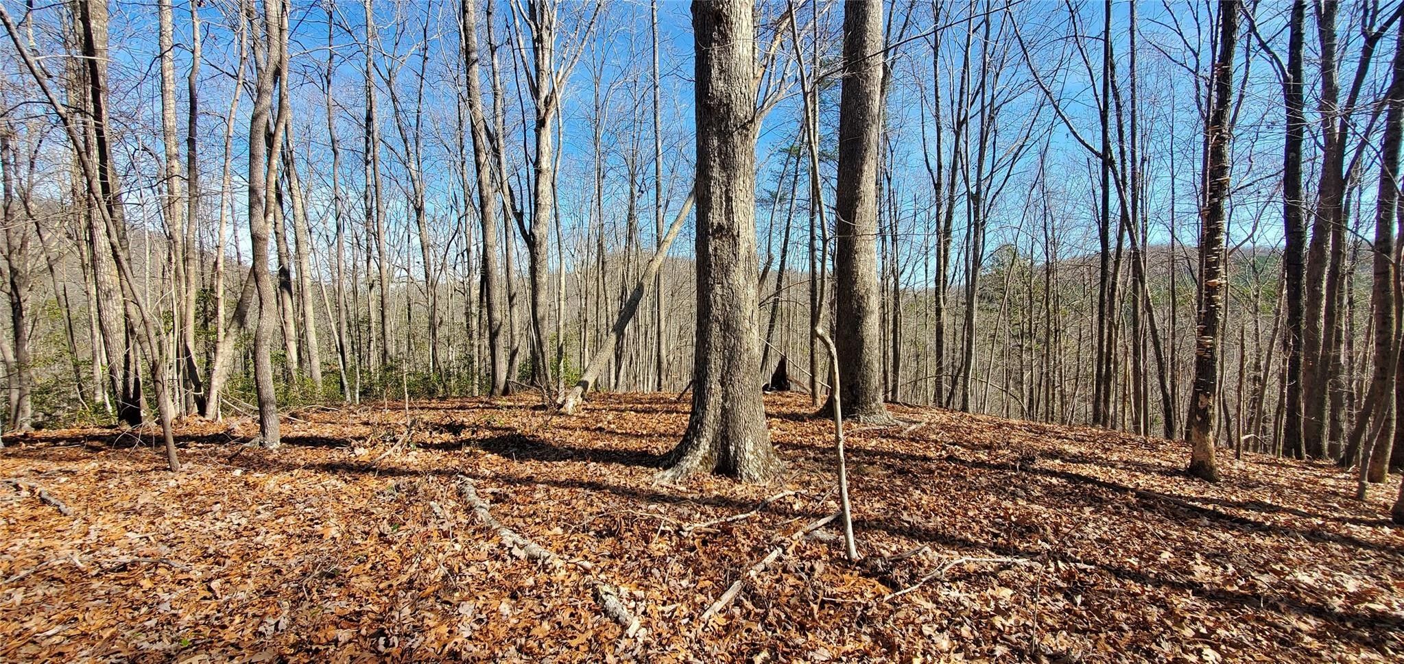 Marion, McDowell County, NC Undeveloped Land for sale Property ID
