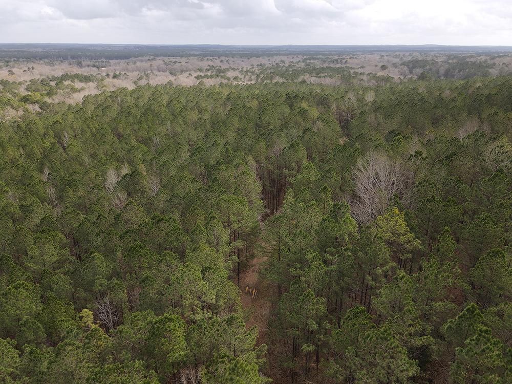 Shubuta, Clarke County, MS Recreational Property, Timberland Property
