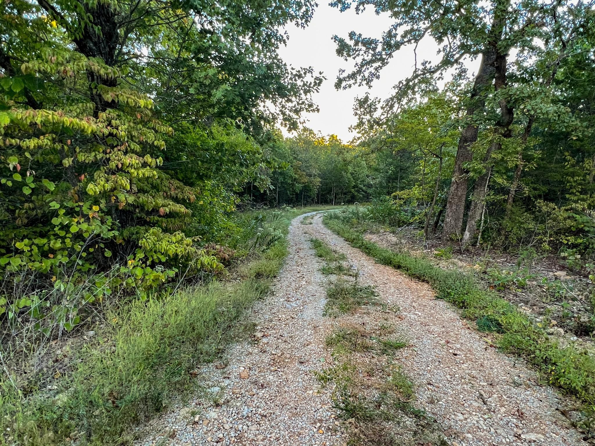 Gainesville, Ozark County, MO Recreational Property, Undeveloped Land