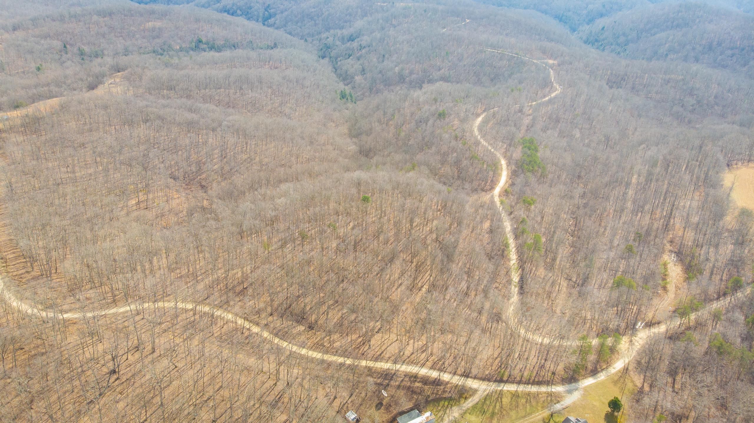 Branchland, Lincoln County, WV Recreational Property, Timberland