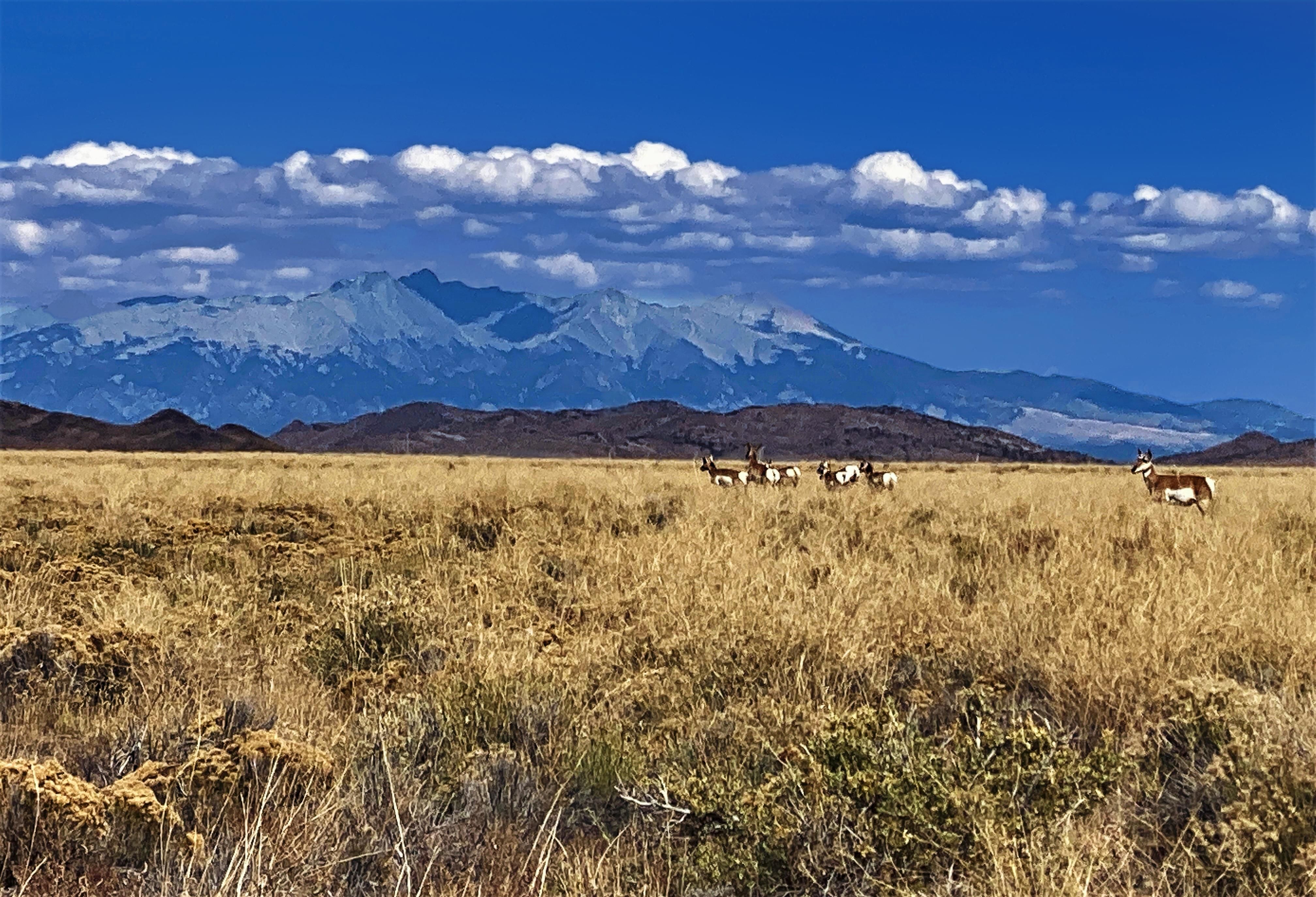 San Luis, Costilla County, CO Recreational Property, Undeveloped Land