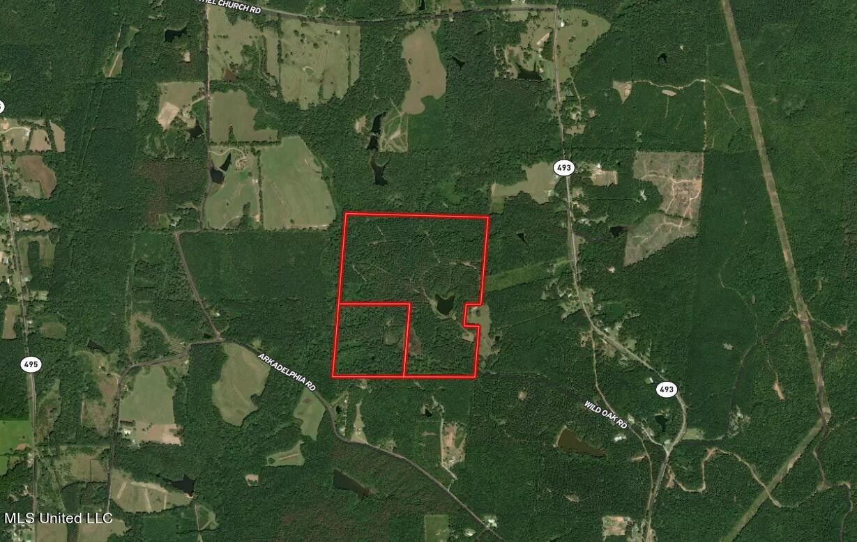 Meridian, Lauderdale County, MS Undeveloped Land for sale Property ID