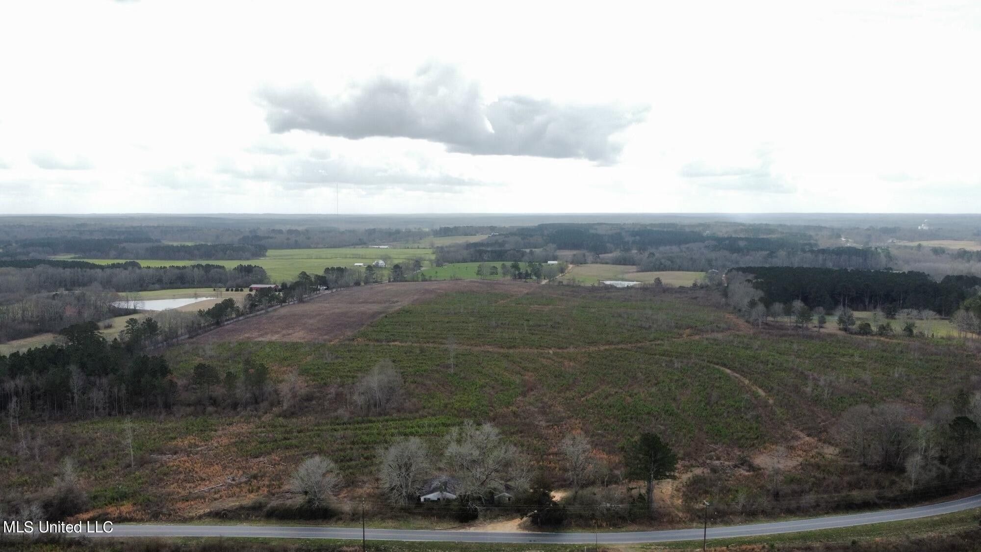 Magee, Simpson County, MS Undeveloped Land for sale Property ID