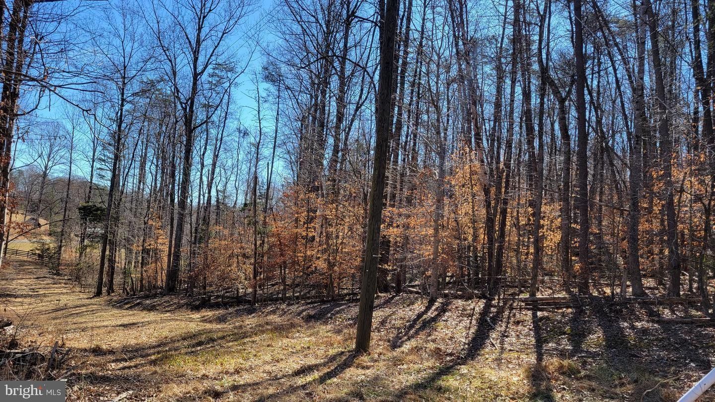 Madison, Madison County, VA Undeveloped Land for sale Property ID