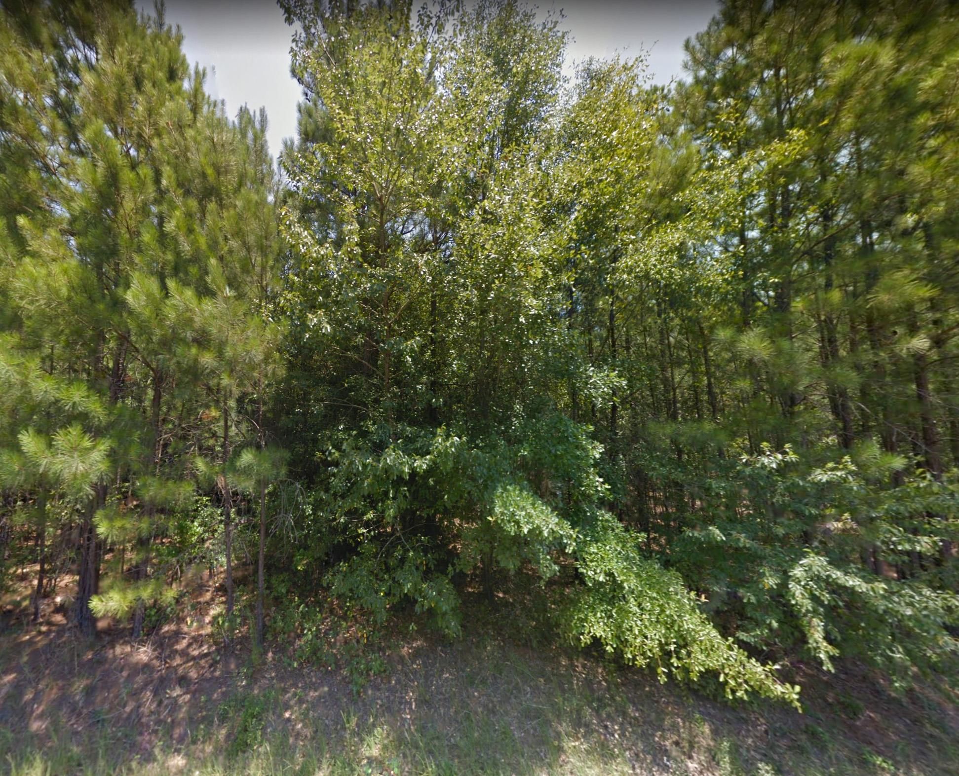 Edgefield Hwy, Trenton, SC 29847 LandWatch