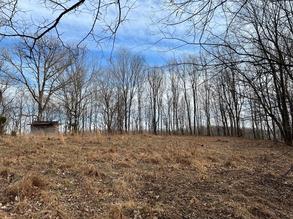 Gainesboro, Jackson County, TN Undeveloped Land for sale Property ID