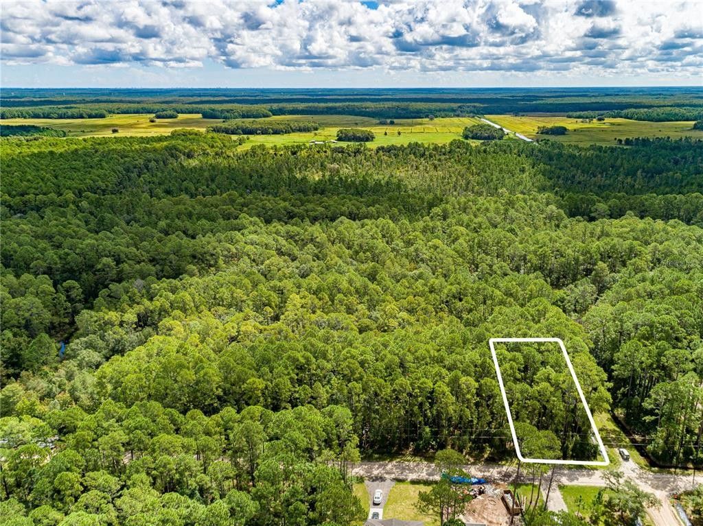 Deland, Volusia County, FL Farms and Ranches, Homesites for sale