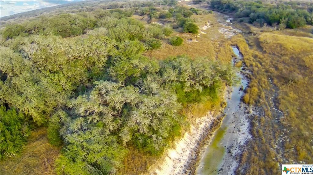 Goliad, Goliad County, TX Farms and Ranches for sale Property ID