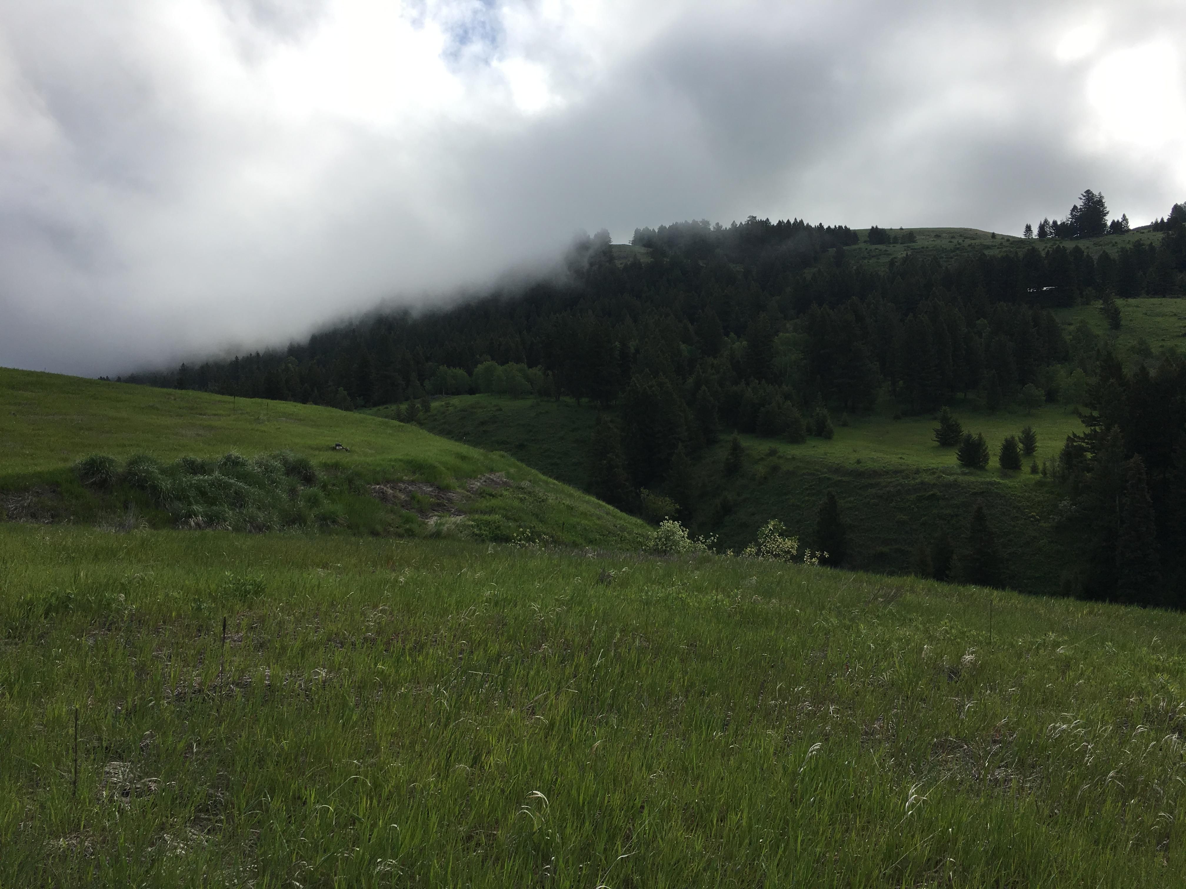 Molson, Okanogan County, WA Recreational Property, Undeveloped Land for