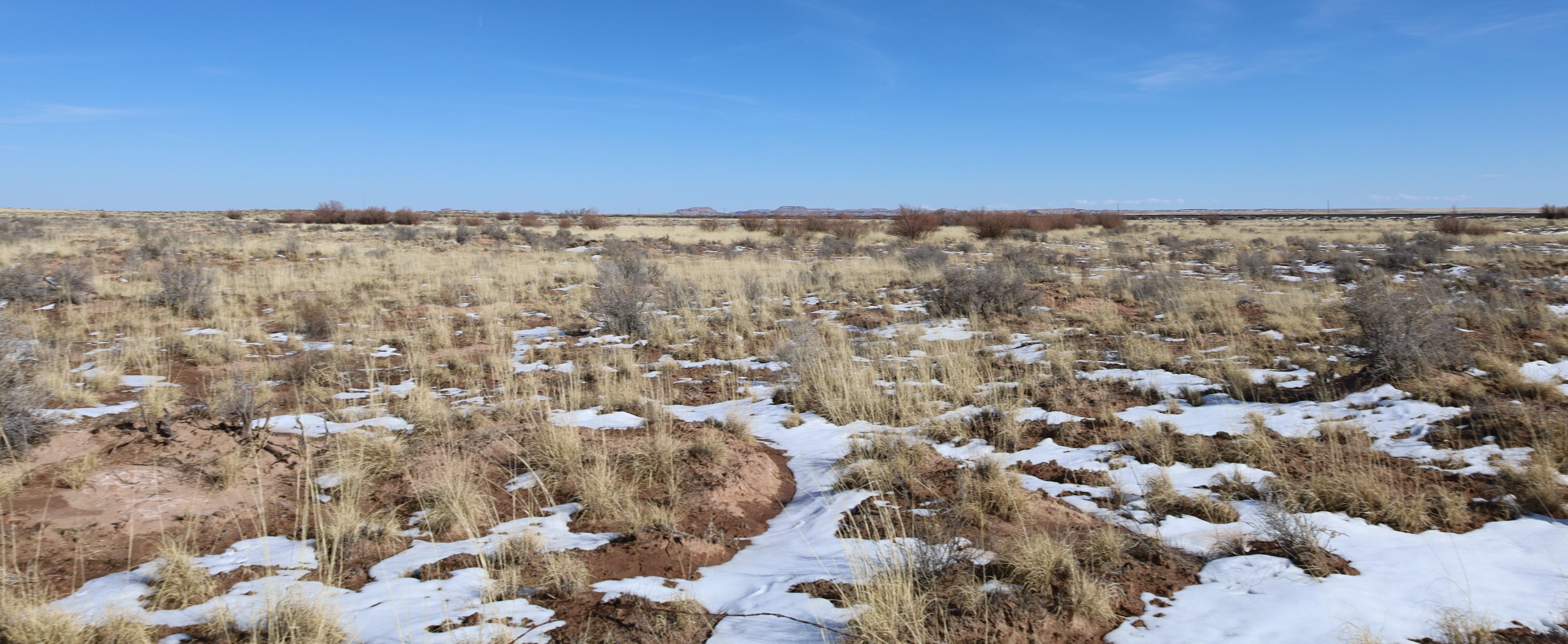 Holbrook, Navajo County, AZ Farms and Ranches, Recreational Property