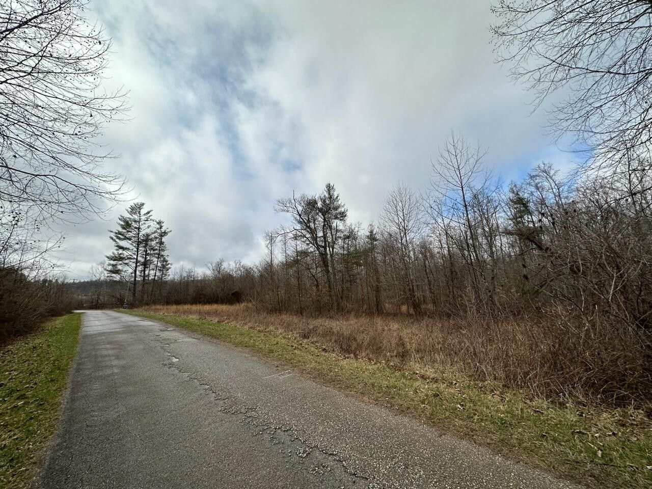 Hitchins, Carter County, KY Farms and Ranches for sale Property ID