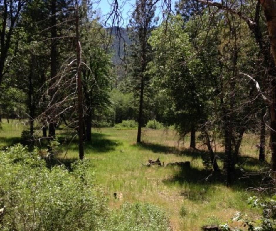 Taylorsville, Plumas County, CA Farms and Ranches, Lakefront Property