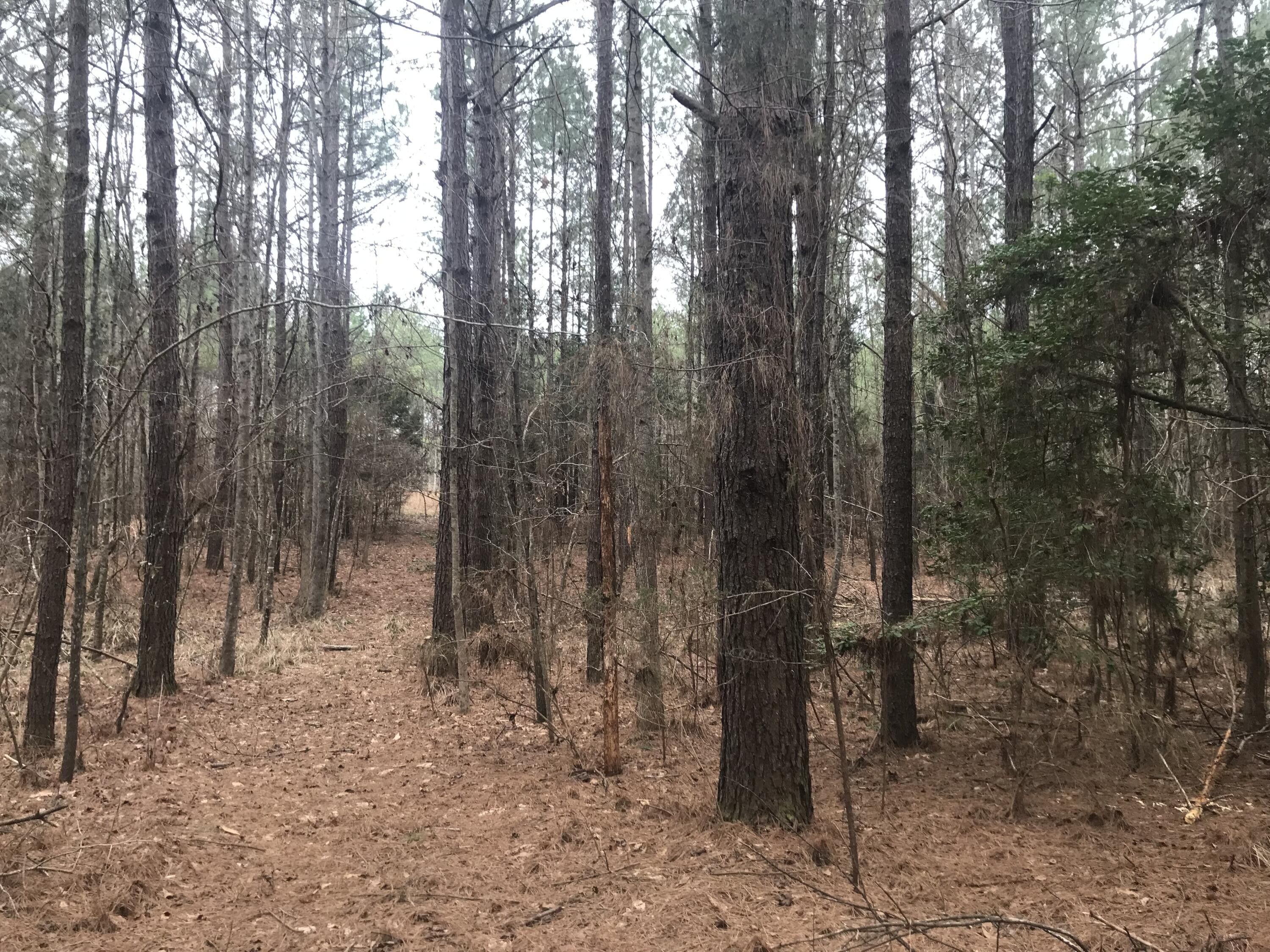 Paulding, Jasper County, MS Farms and Ranches for sale Property ID