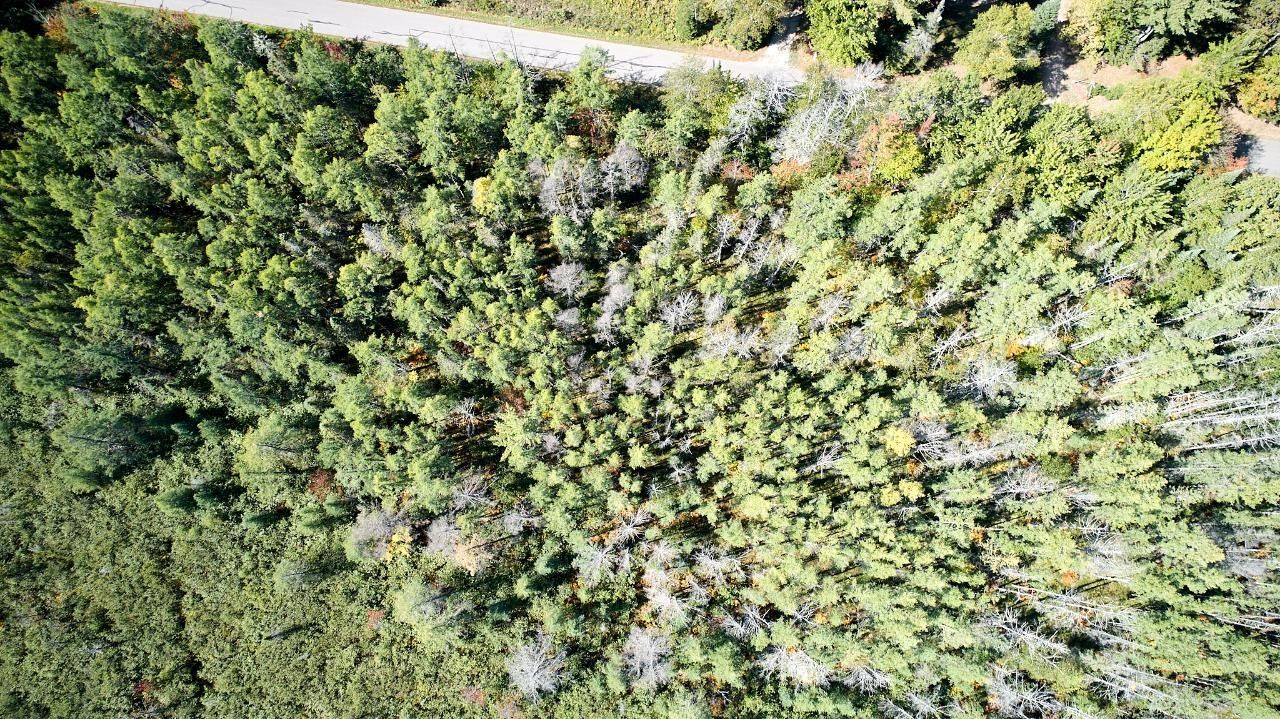 Sugar Camp, Oneida County, WI Undeveloped Land for sale Property ID