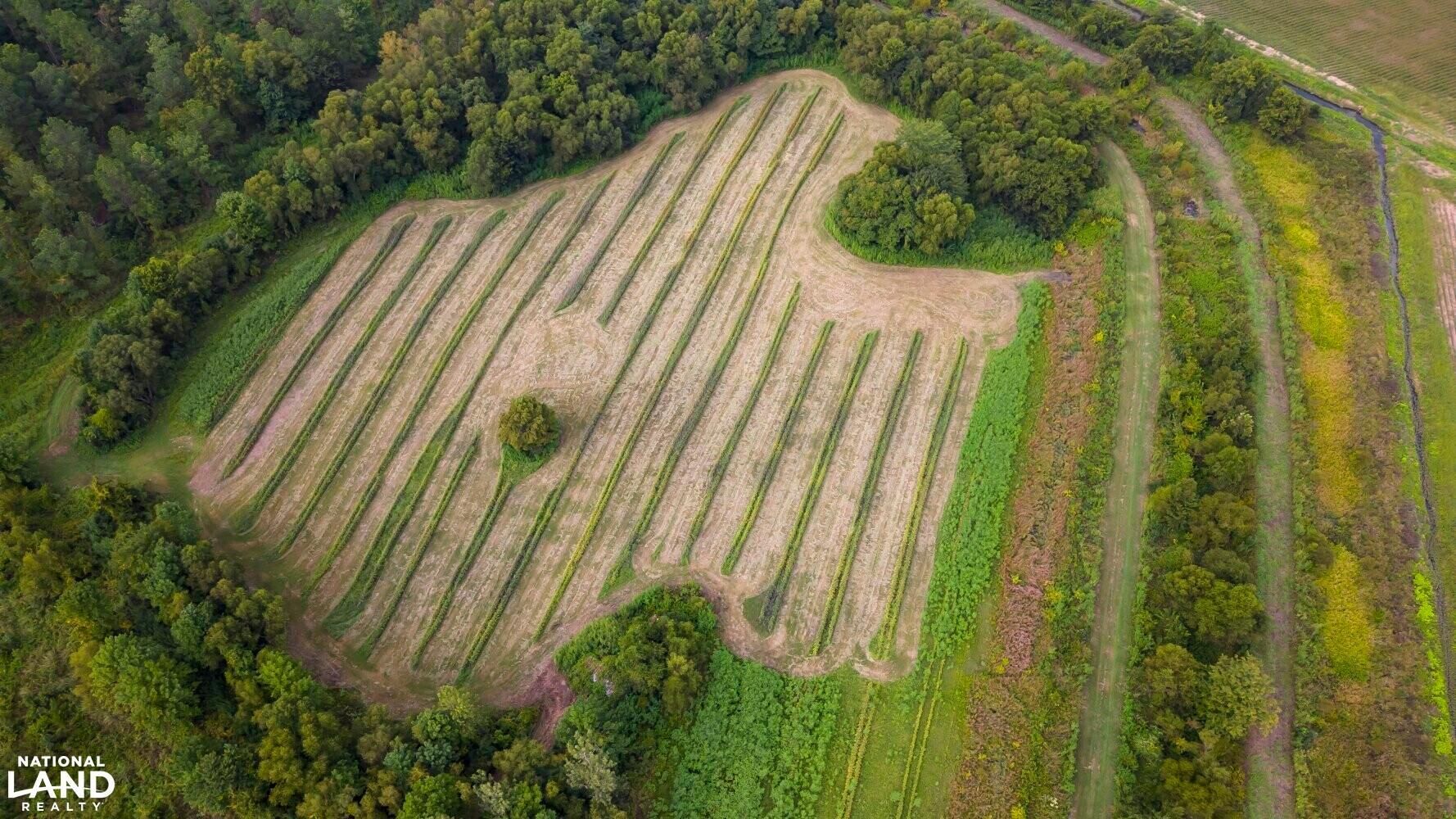 Sidon, Carroll County, MS Recreational Property, Hunting Property for