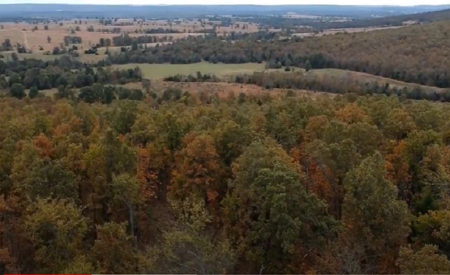 Texanna, McIntosh County, OK Recreational Property, Undeveloped Land