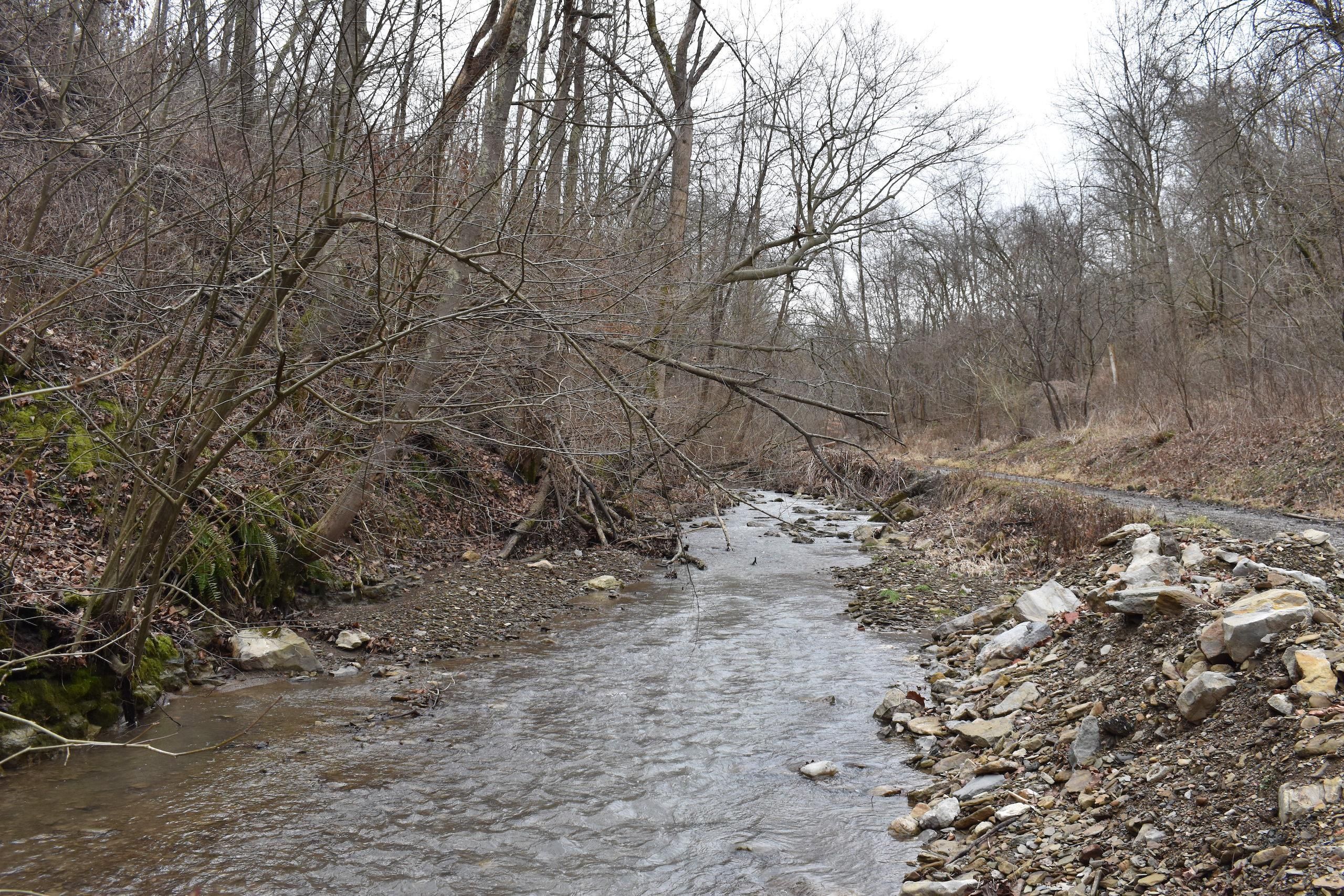 Bellaire, Belmont County, OH Recreational Property, Timberland Property