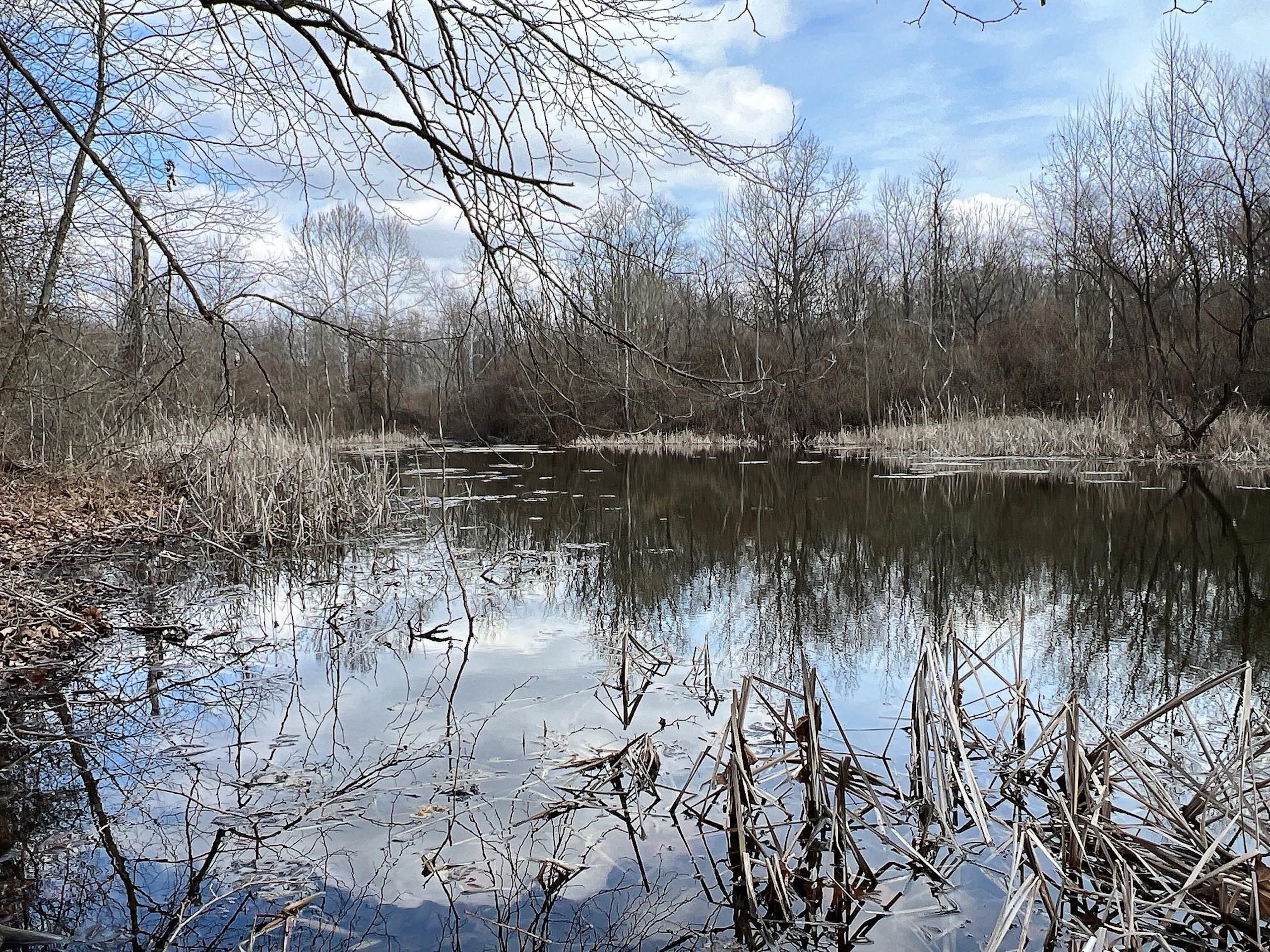 Oak Hill, Jackson County, OH Recreational Property, Timberland Property