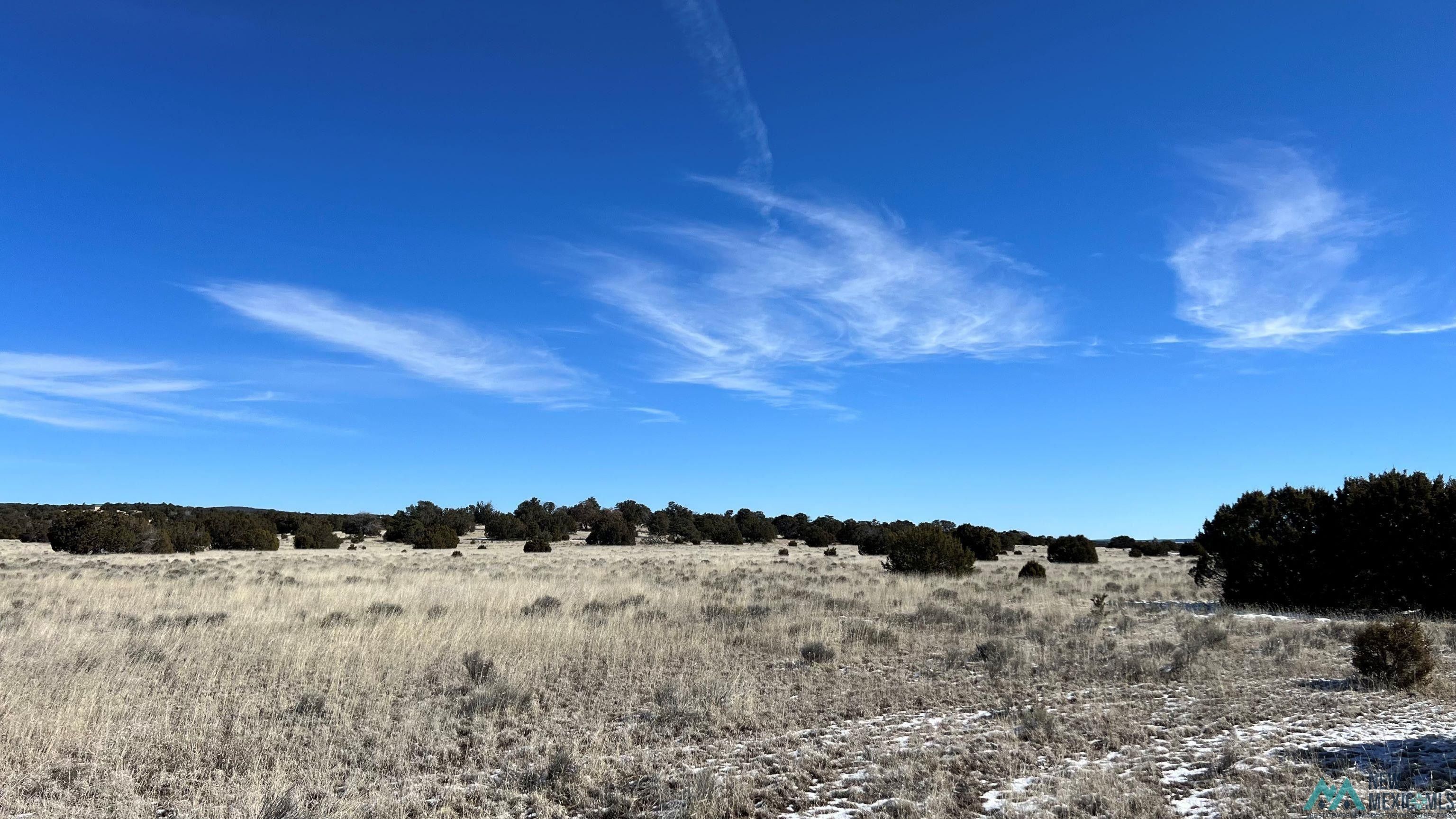 Quemado, Catron County, NM Recreational Property, Undeveloped Land for