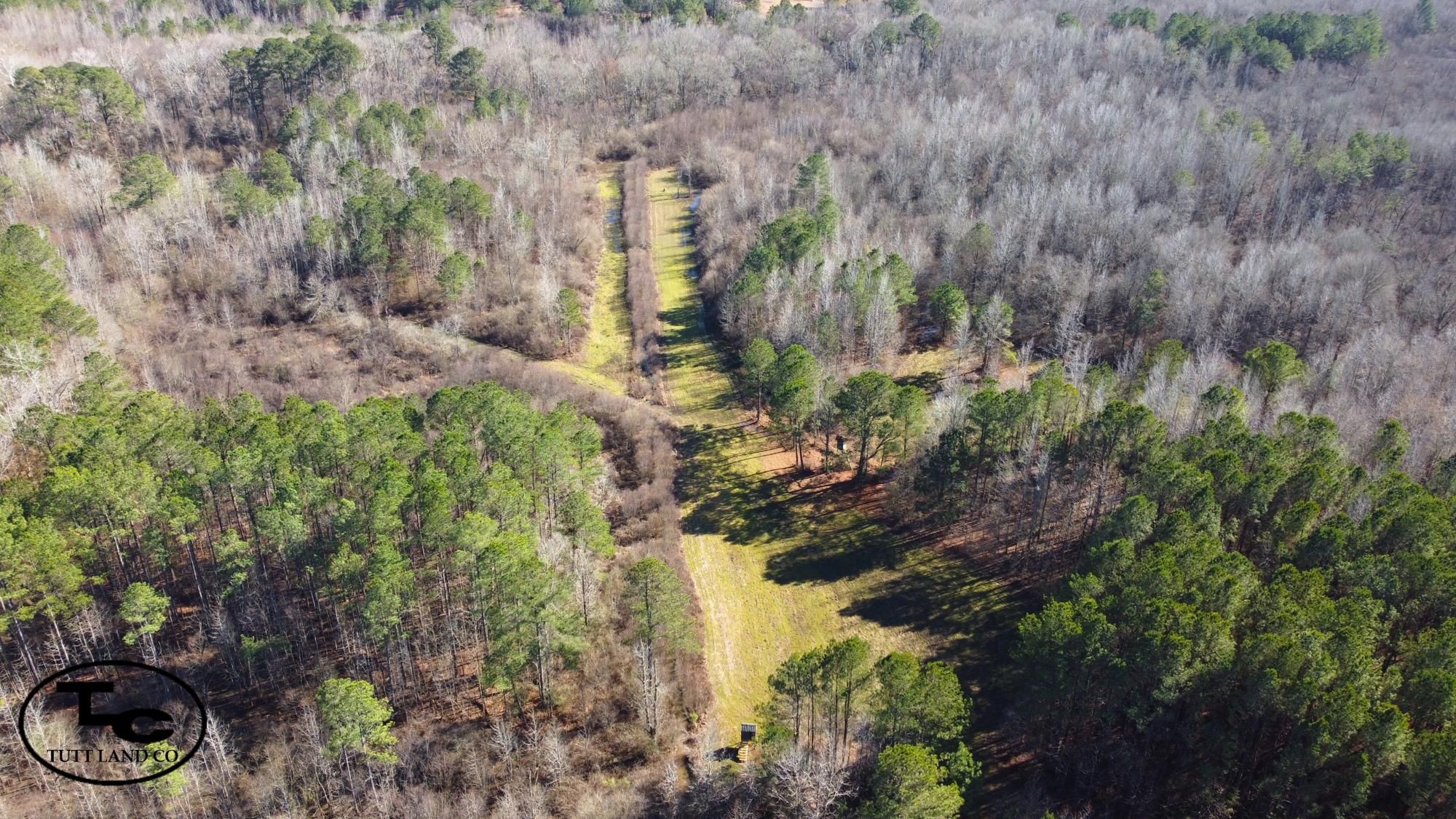181 acres in Aliceville, AL, 35442 LandWatch