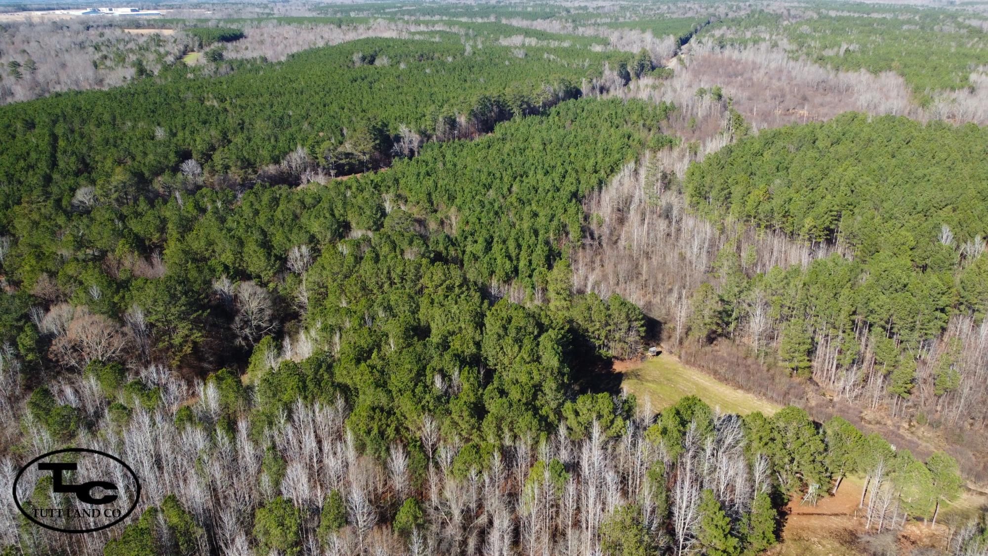 Mcmullen, Pickens County, AL Recreational Property, Timberland Property, Hunting Property for