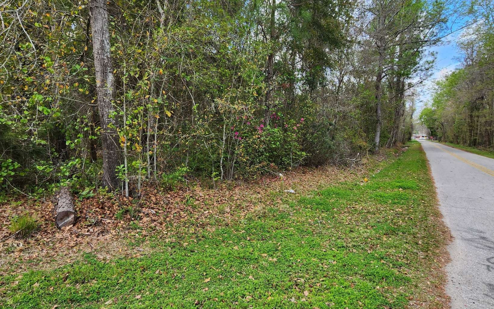 Lake City, Columbia County, FL Undeveloped Land, Homesites for sale Property ID 415900085