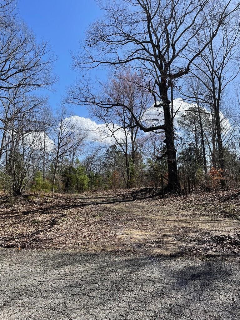 Camden, Benton County, TN Undeveloped Land for sale Property ID