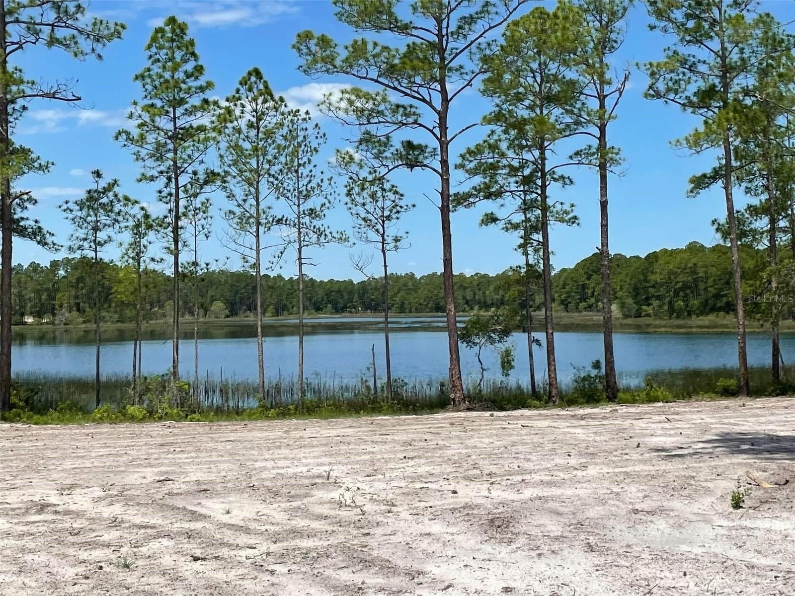 Deland, Lake County, FL Farms and Ranches, Lakefront Property