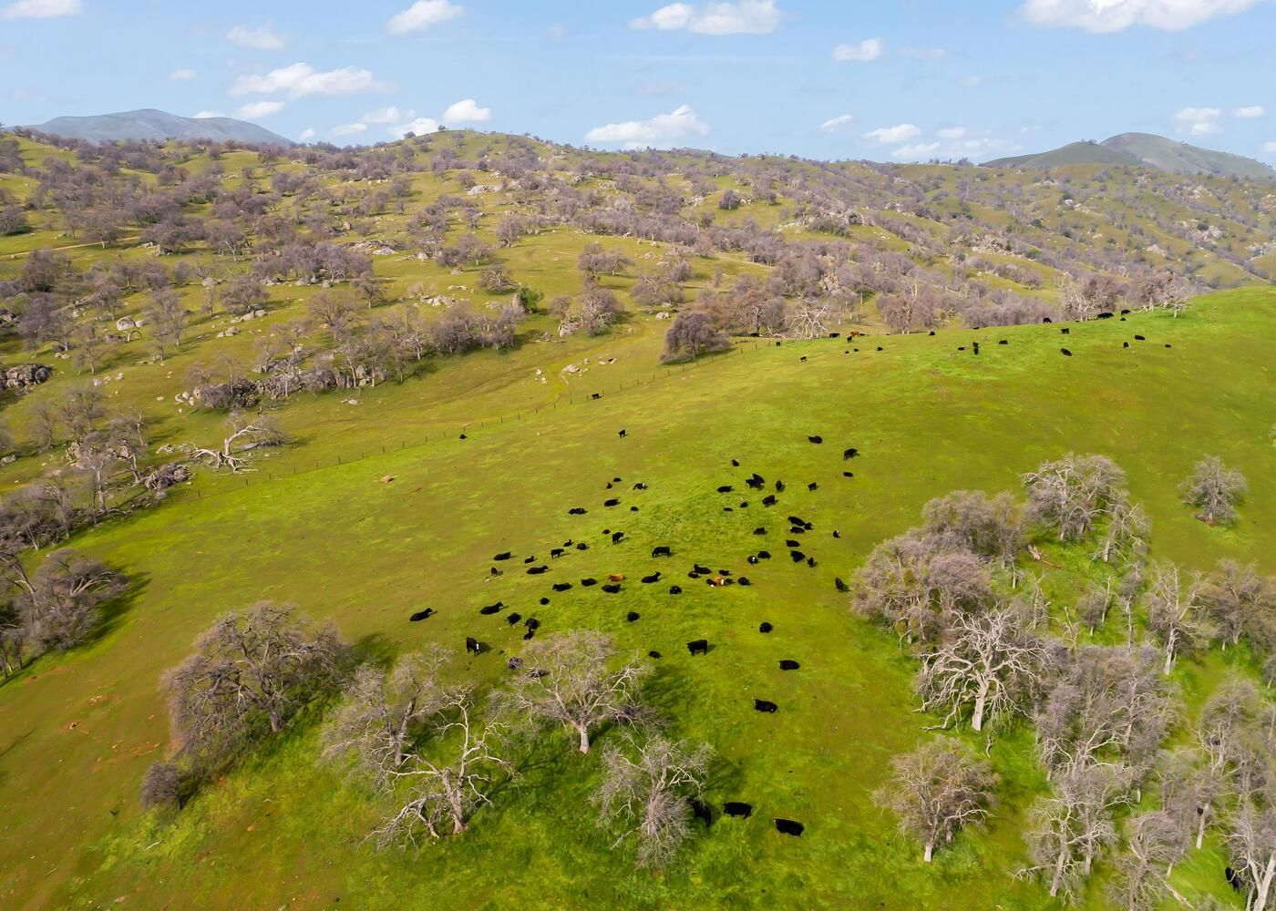 Exeter, Tulare County, CA Farms and Ranches for sale Property ID