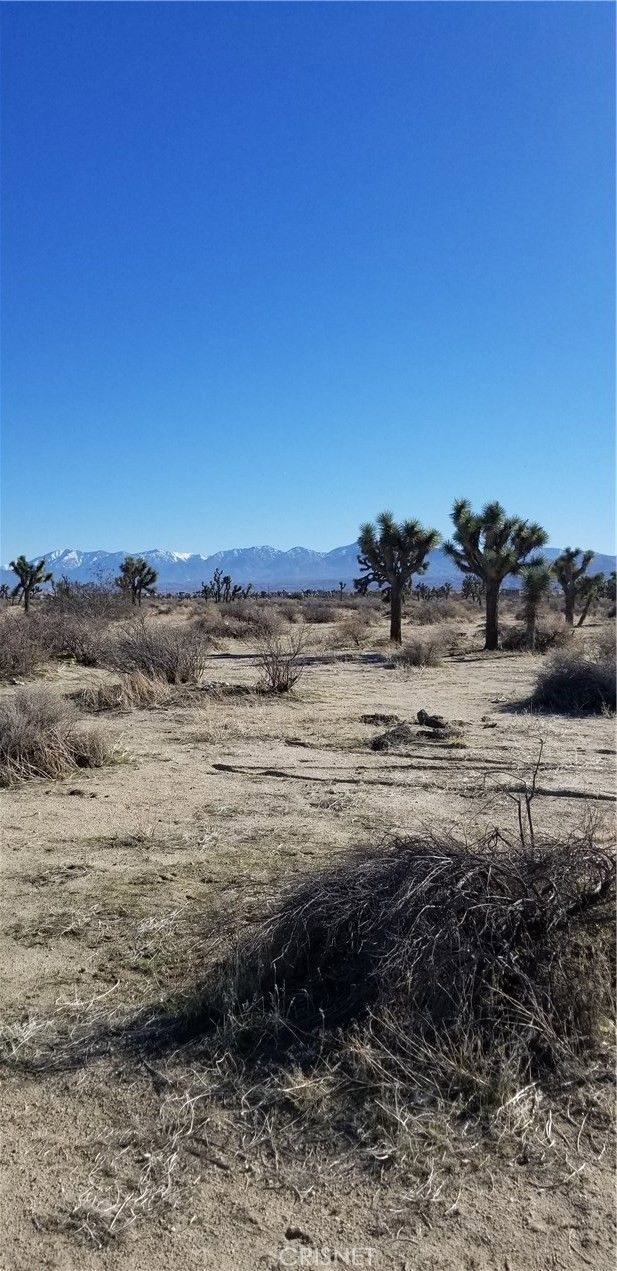 Palmdale, Los Angeles County, CA Farms and Ranches, Homesites for sale