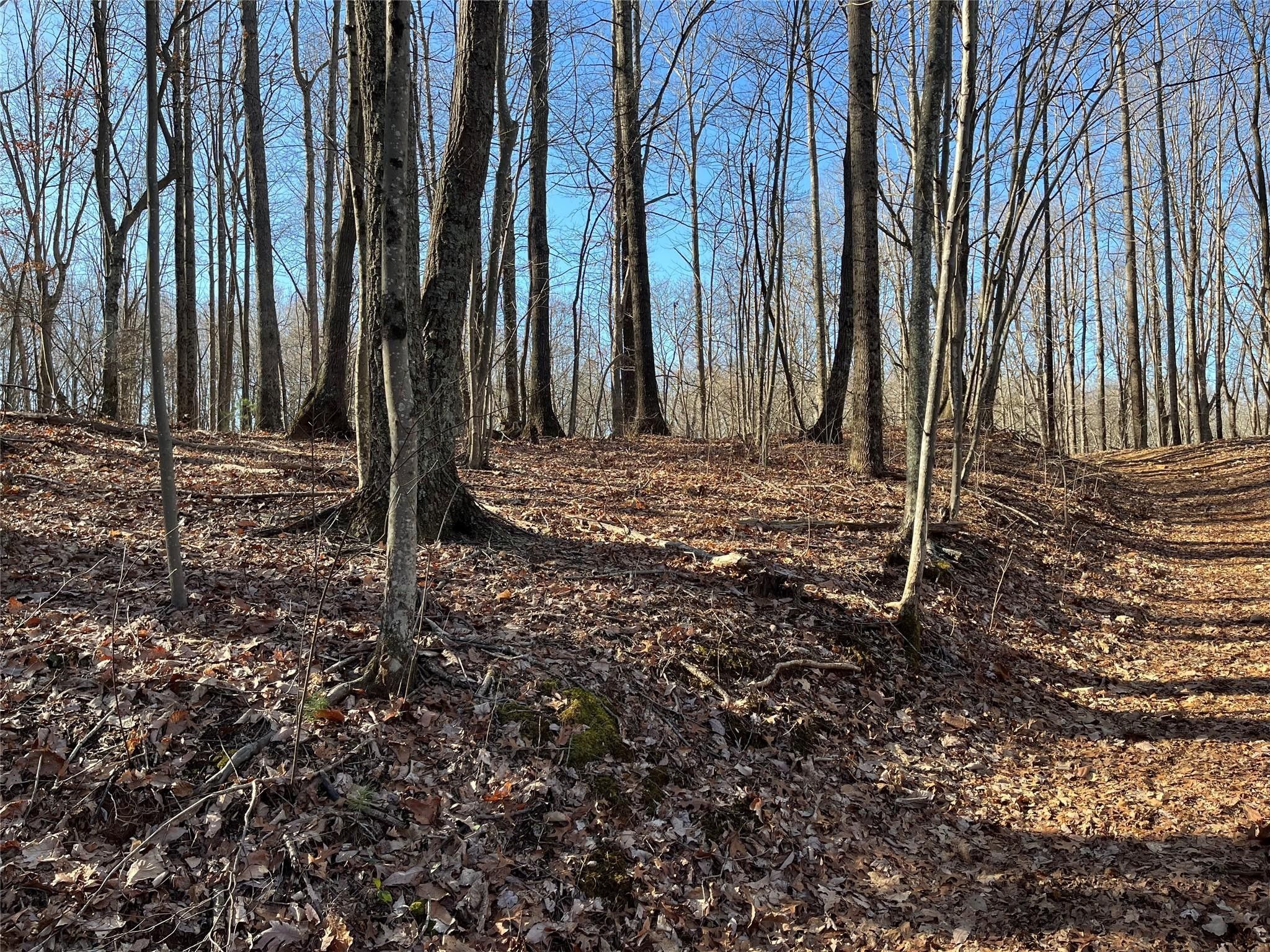 Saluda, Polk County, NC Undeveloped Land for sale Property ID