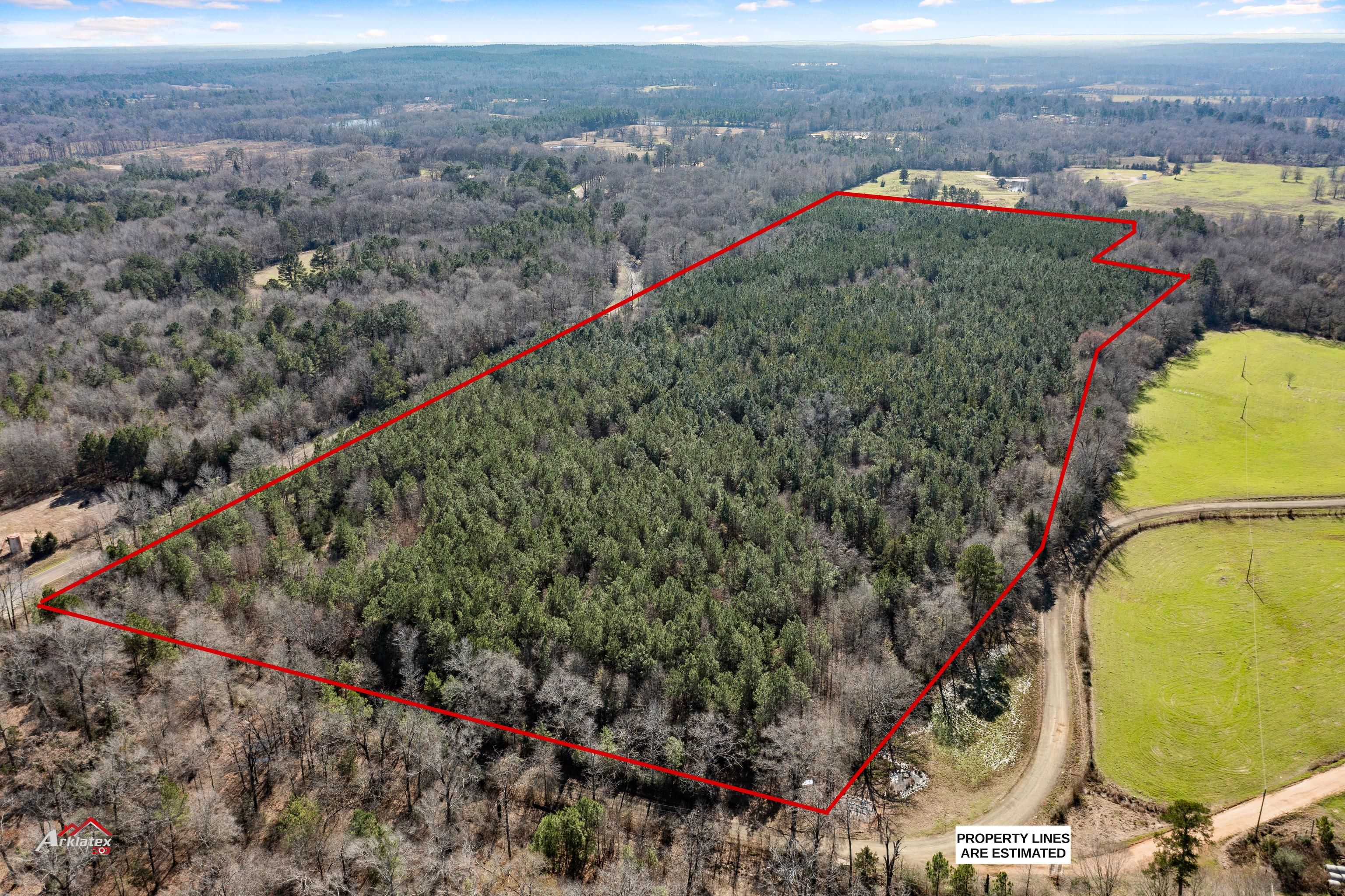 Timpson, Shelby County, TX Timberland Property for sale Property ID