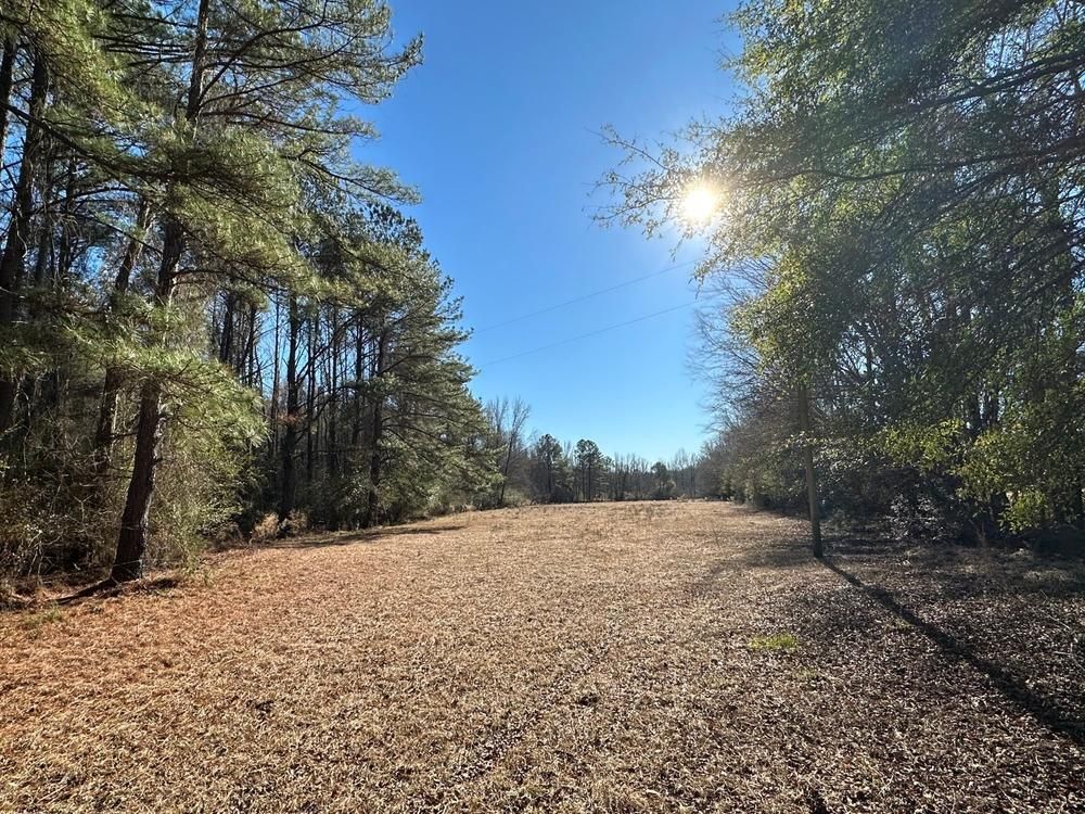 Marion, Perry County, AL Farms and Ranches, Commercial Property